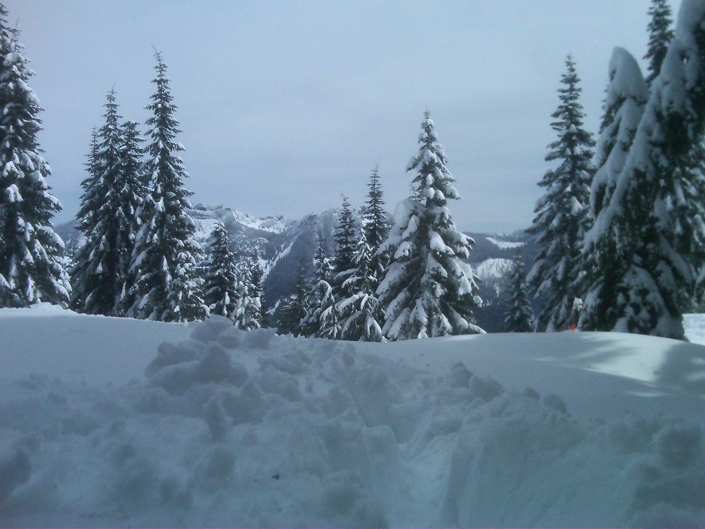 IMG02530-20100410-1321